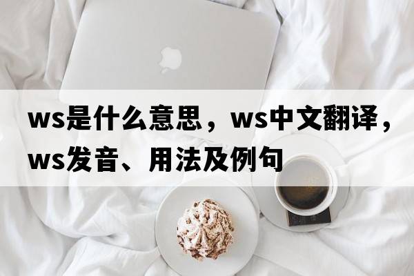 WS是什么意思，WS中文翻譯，WS發(fā)音、用法及例句
