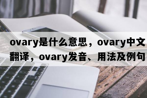 ovary是什么意思，ovary中文翻譯，ovary發(fā)音、用法及例句