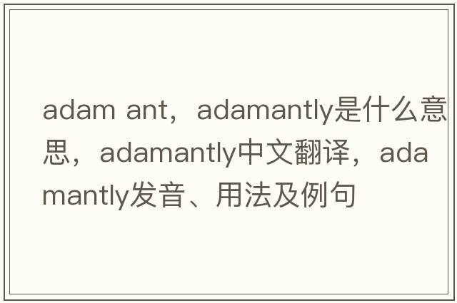 adam ant，adamantly是什么意思，adamantly中文翻譯，adamantly發(fā)音、用法及例句