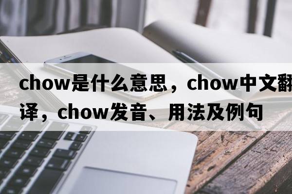 chow是什么意思，chow中文翻譯，chow發(fā)音、用法及例句