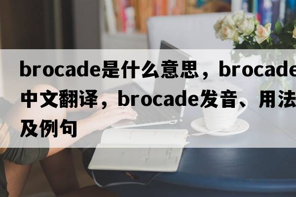 brocade是什么意思，brocade中文翻譯，brocade發(fā)音、用法及例句
