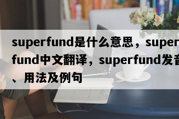 Superfund是什么意思，Superfund中文翻譯，Superfund發(fā)音、用法及例句
