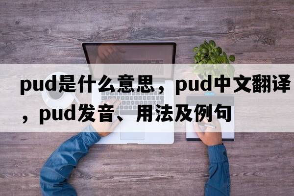 pud是什么意思，pud中文翻譯，pud發(fā)音、用法及例句