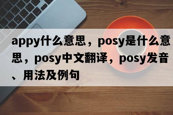 appy什么意思，posy是什么意思，posy中文翻譯，posy發(fā)音、用法及例句