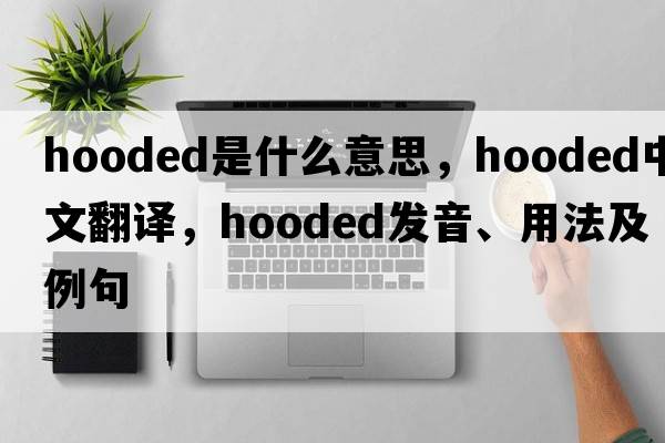 hooded是什么意思，hooded中文翻譯，hooded發(fā)音、用法及例句