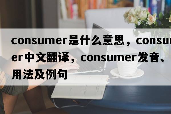 consumer是什么意思，consumer中文翻譯，consumer發(fā)音、用法及例句