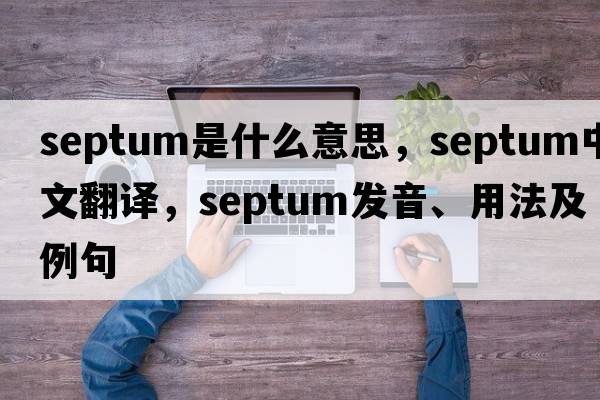 septum是什么意思，septum中文翻譯，septum發(fā)音、用法及例句