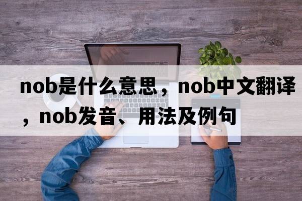 nob是什么意思，nob中文翻譯，nob發(fā)音、用法及例句