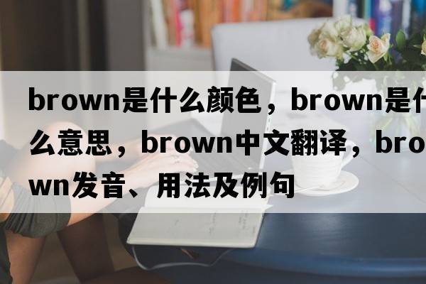 brown是什么顏色，brown是什么意思，brown中文翻譯，brown發(fā)音、用法及例句