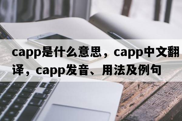 CAPP是什么意思，CAPP中文翻譯，CAPP發(fā)音、用法及例句