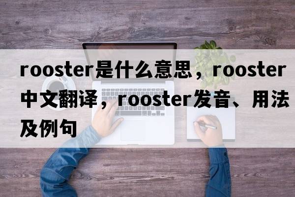 rooster是什么意思，rooster中文翻譯，rooster發(fā)音、用法及例句