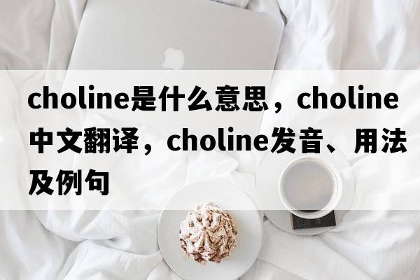 choline是什么意思，choline中文翻譯，choline發(fā)音、用法及例句