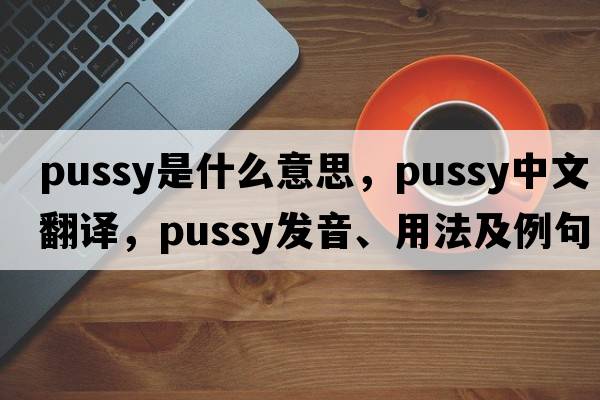 pussy是什么意思，pussy中文翻譯，pussy發(fā)音、用法及例句