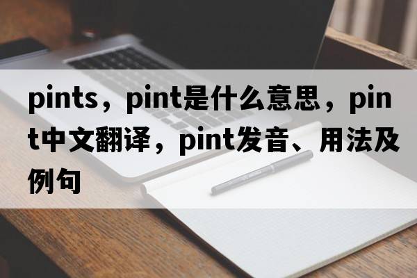 pints，pint是什么意思，pint中文翻譯，pint發(fā)音、用法及例句