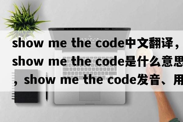 show me the code中文翻譯，show me the code是什么意思，show me the code發(fā)音、用法及例句