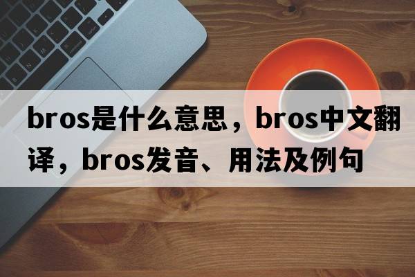BROS是什么意思，BROS中文翻譯，BROS發(fā)音、用法及例句