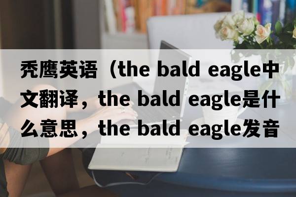 禿鷹英語(yǔ)（the bald eagle中文翻譯，the bald eagle是什么意思，the bald eagle發(fā)音、用法及例句）