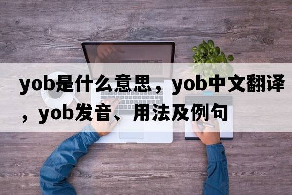 YOB是什么意思，YOB中文翻譯，YOB發(fā)音、用法及例句