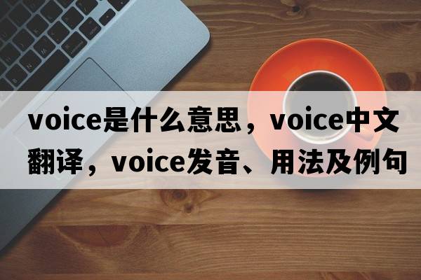 voice是什么意思，voice中文翻譯，voice發(fā)音、用法及例句