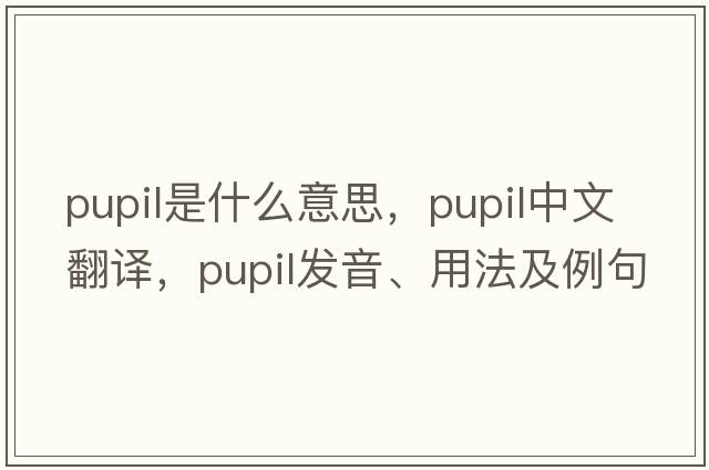 pupil是什么意思，pupil中文翻譯，pupil發(fā)音、用法及例句