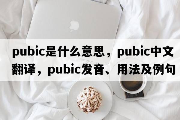 pubic是什么意思，pubic中文翻譯，pubic發(fā)音、用法及例句