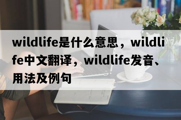 wildlife是什么意思，wildlife中文翻譯，wildlife發(fā)音、用法及例句