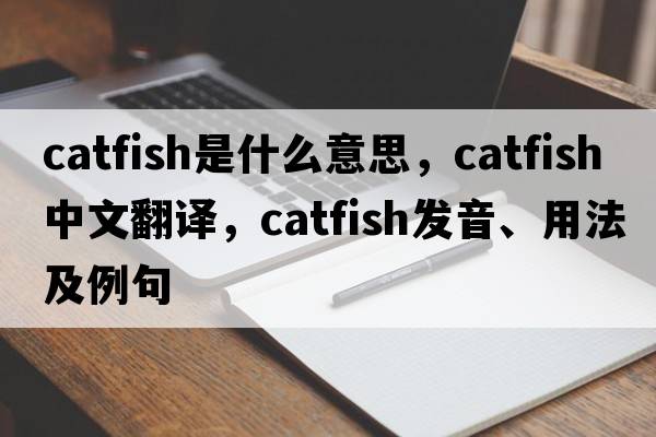 catfish是什么意思，catfish中文翻譯，catfish發(fā)音、用法及例句