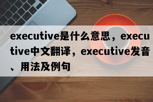 executive是什么意思，executive中文翻譯，executive發(fā)音、用法及例句
