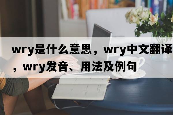 wry是什么意思，wry中文翻譯，wry發(fā)音、用法及例句