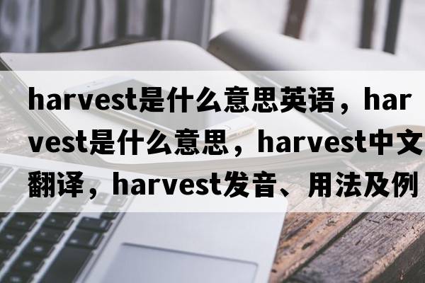 harvest是什么意思英語(yǔ)，harvest是什么意思，harvest中文翻譯，harvest發(fā)音、用法及例句