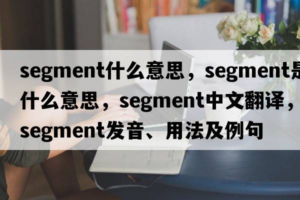 segment什么意思，segment是什么意思，segment中文翻譯，segment發(fā)音、用法及例句
