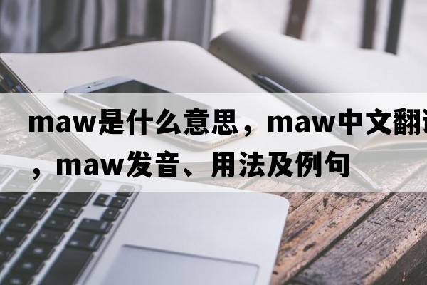 maw是什么意思，maw中文翻譯，maw發(fā)音、用法及例句