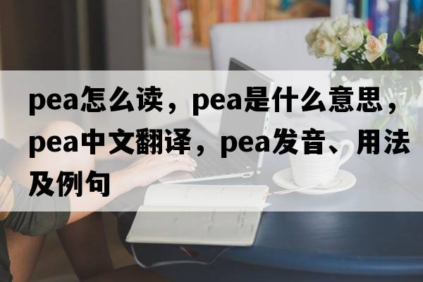 pea怎么讀，pea是什么意思，pea中文翻譯，pea發(fā)音、用法及例句