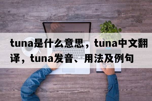 tuna是什么意思，tuna中文翻譯，tuna發(fā)音、用法及例句