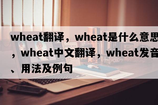 wheat翻譯，wheat是什么意思，wheat中文翻譯，wheat發(fā)音、用法及例句