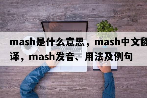 mash是什么意思，mash中文翻譯，mash發(fā)音、用法及例句