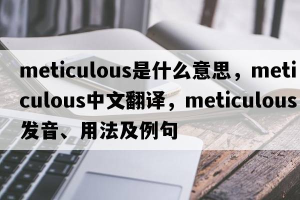 meticulous是什么意思，meticulous中文翻譯，meticulous發(fā)音、用法及例句