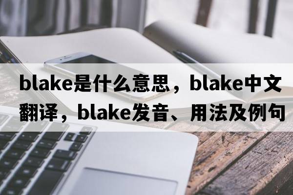 blake是什么意思，blake中文翻譯，blake發(fā)音、用法及例句