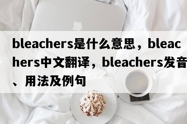 bleachers是什么意思，bleachers中文翻譯，bleachers發(fā)音、用法及例句