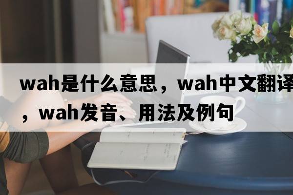 wah是什么意思，wah中文翻譯，wah發(fā)音、用法及例句