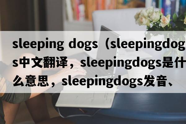 sleeping dogs（sleepingdogs中文翻譯，sleepingdogs是什么意思，sleepingdogs發(fā)音、用法及例句）