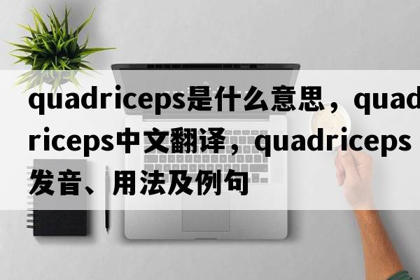 quadriceps是什么意思，quadriceps中文翻譯，quadriceps發(fā)音、用法及例句