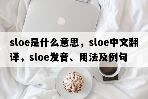 sloe是什么意思，sloe中文翻譯，sloe發(fā)音、用法及例句