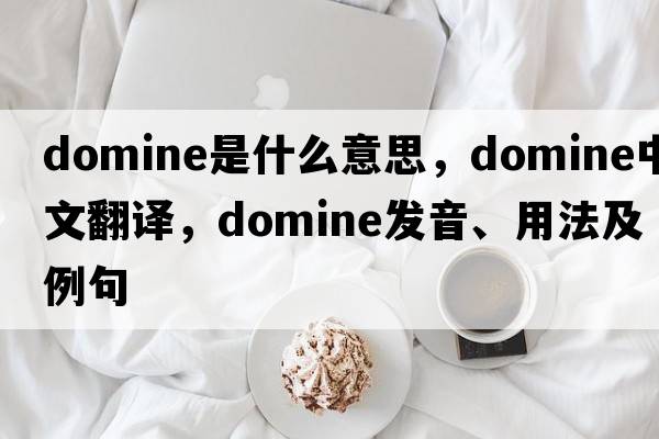 domine是什么意思，domine中文翻譯，domine發(fā)音、用法及例句