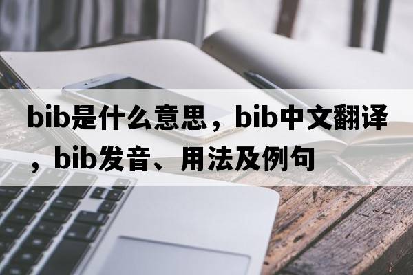 bib是什么意思，bib中文翻譯，bib發(fā)音、用法及例句