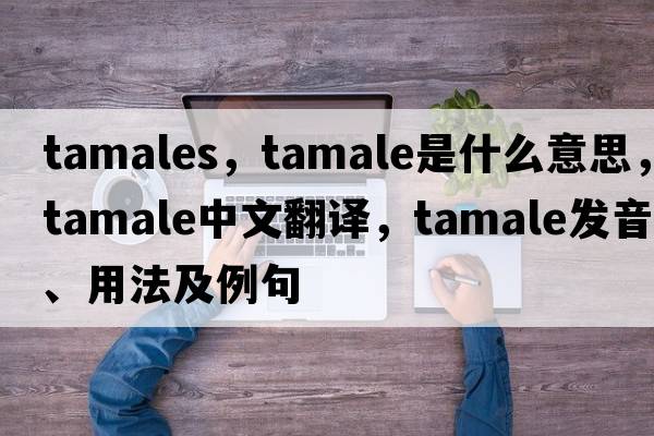 tamales，tamale是什么意思，tamale中文翻譯，tamale發(fā)音、用法及例句