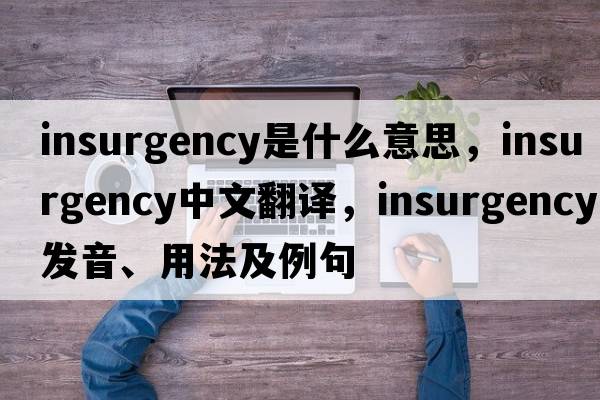 insurgency是什么意思，insurgency中文翻譯，insurgency發(fā)音、用法及例句
