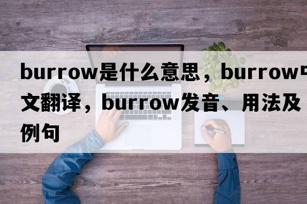 burrow是什么意思，burrow中文翻譯，burrow發(fā)音、用法及例句