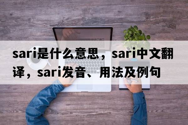 sari是什么意思，sari中文翻譯，sari發(fā)音、用法及例句
