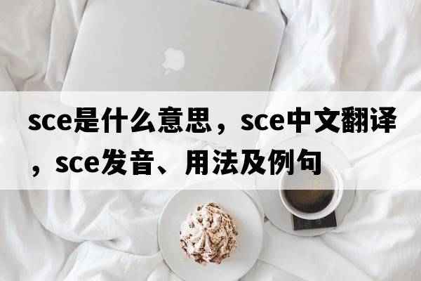 sce是什么意思，sce中文翻譯，sce發(fā)音、用法及例句